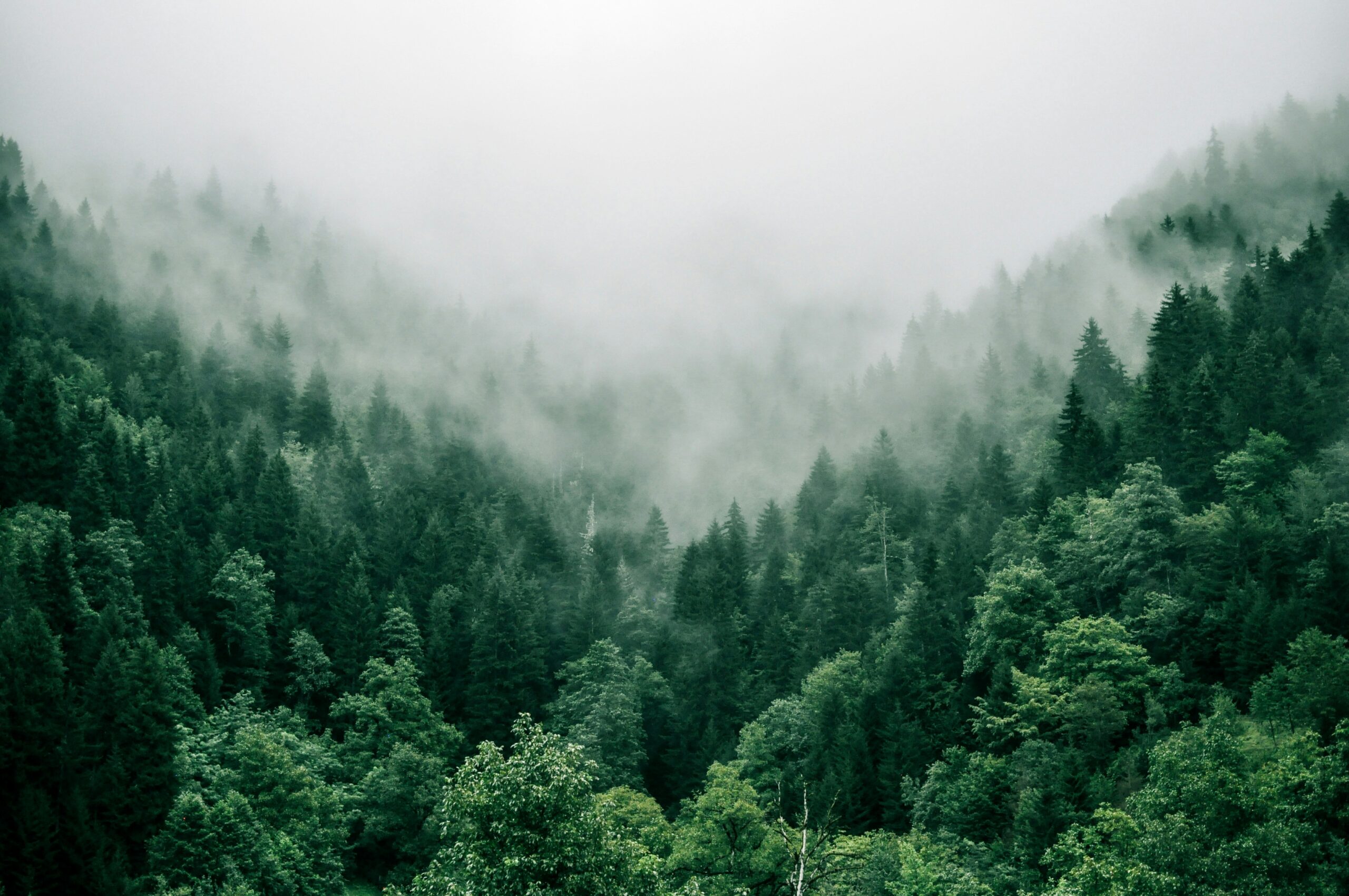 Marita Kavelashvili UgnrXk1129g Unsplash Scaled