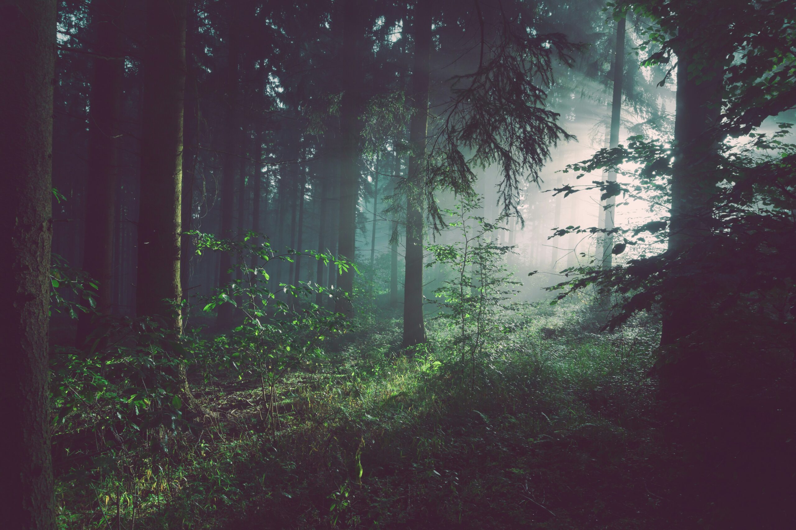 Sebastian Unrau Sp P7uuT0tw Unsplash Scaled